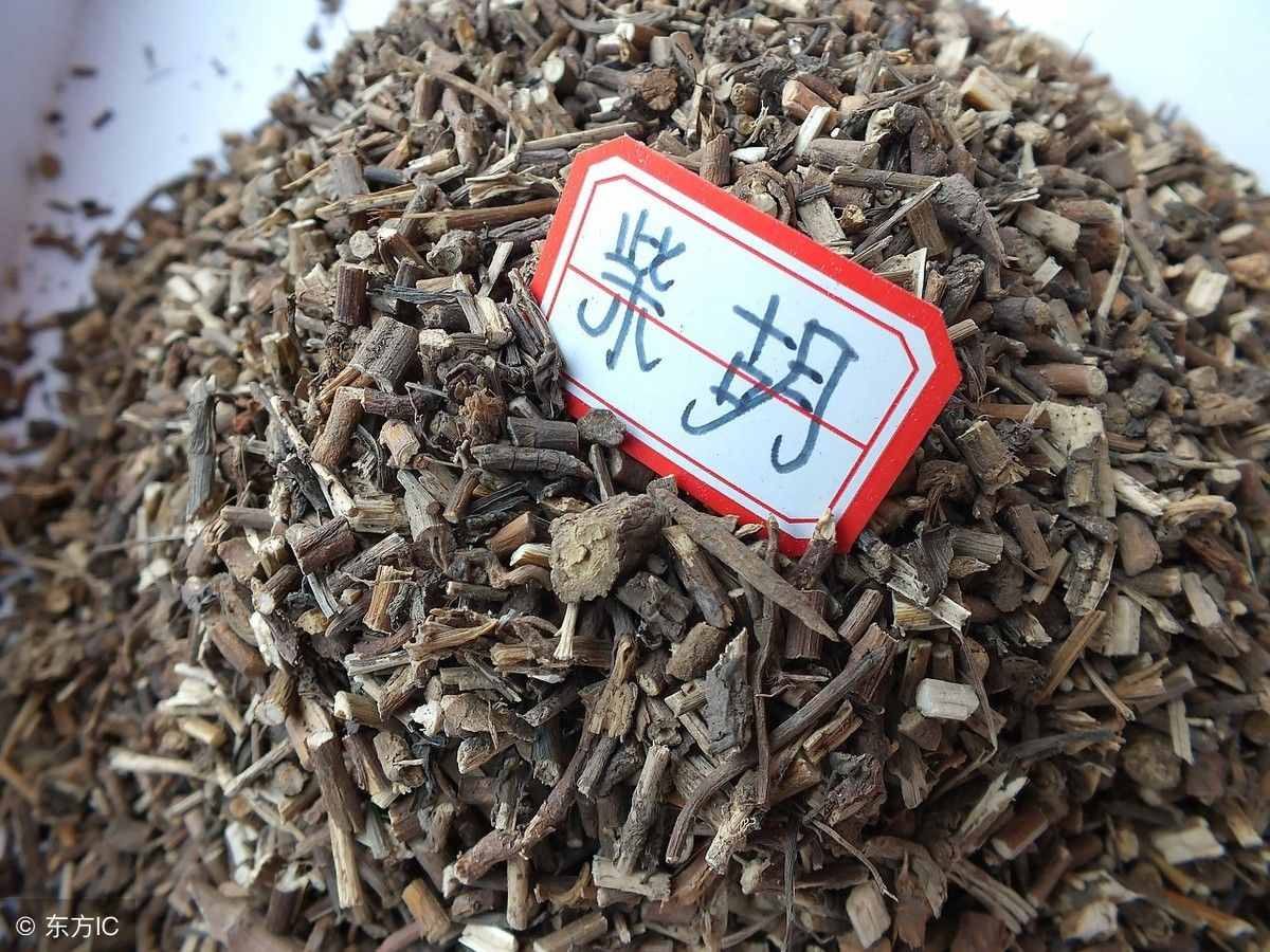 10種最有效的天然減肥中藥，讓你瘦到尖叫……
