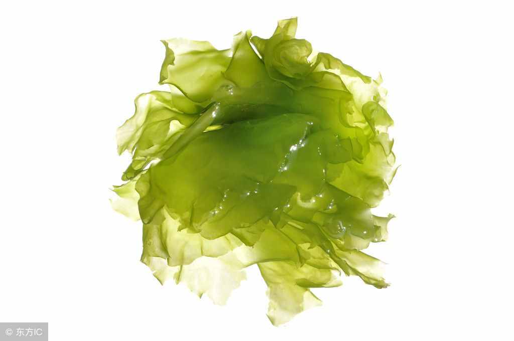 10種最有效的天然減肥中藥，讓你瘦到尖叫……