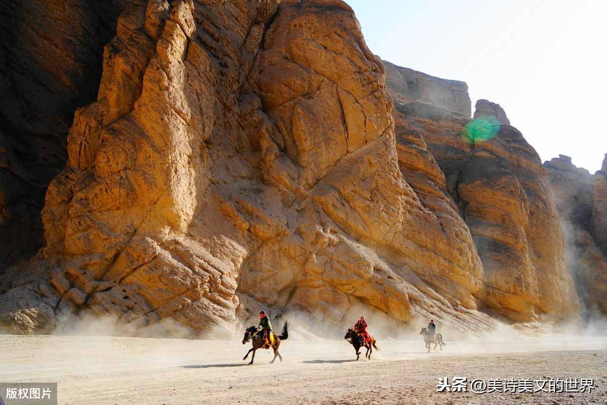 “好馬不吃回頭草”到底何意？是指回頭草不好嗎？很多人理解錯了