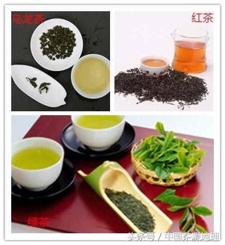 烏龍茶是紅茶還是綠茶？?jī)烧叨疾皇?，是青?class=