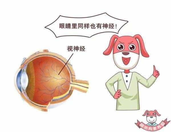 不知不覺得了糖尿病？這些早期癥狀你要了解