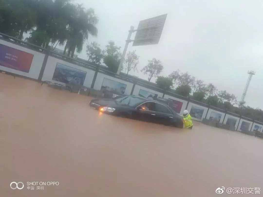 強降雨把深圳澆成了這樣，網(wǎng)友：是時候展示我的游泳技術了！