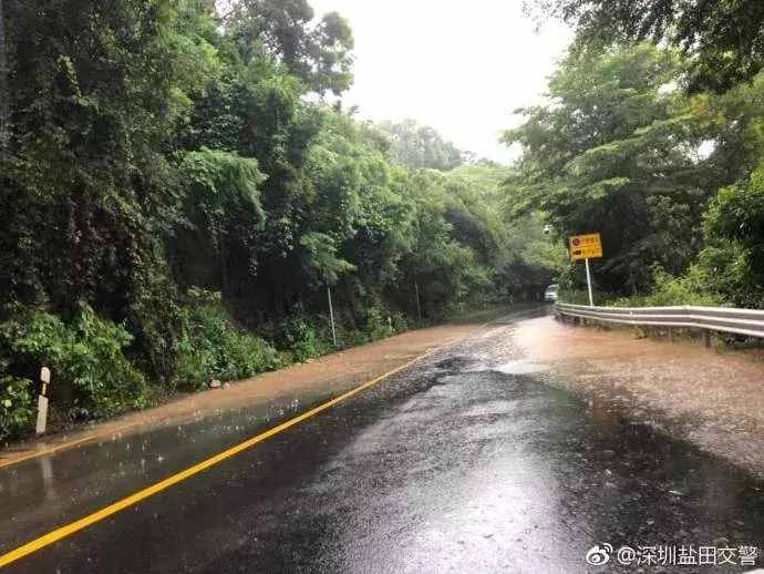 強降雨把深圳澆成了這樣，網(wǎng)友：是時候展示我的游泳技術了！