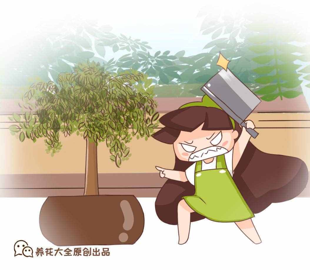 植物也開葷！世界上六大食肉植物，胃口好到能吞牛