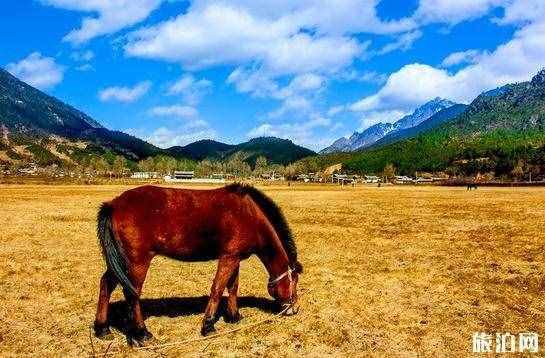 去麗江怎么去 去麗江旅游的交通方式