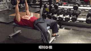 怎樣練好啞鈴臥推，實(shí)現(xiàn)胸肌的完美進(jìn)步？