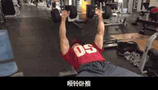 怎樣練好啞鈴臥推，實(shí)現(xiàn)胸肌的完美進(jìn)步？