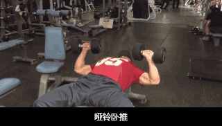 怎樣練好啞鈴臥推，實(shí)現(xiàn)胸肌的完美進(jìn)步？