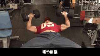 怎樣練好啞鈴臥推，實(shí)現(xiàn)胸肌的完美進(jìn)步？