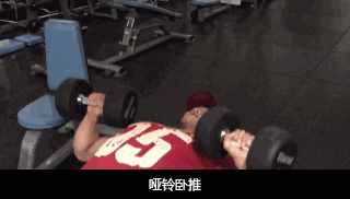 怎樣練好啞鈴臥推，實(shí)現(xiàn)胸肌的完美進(jìn)步？