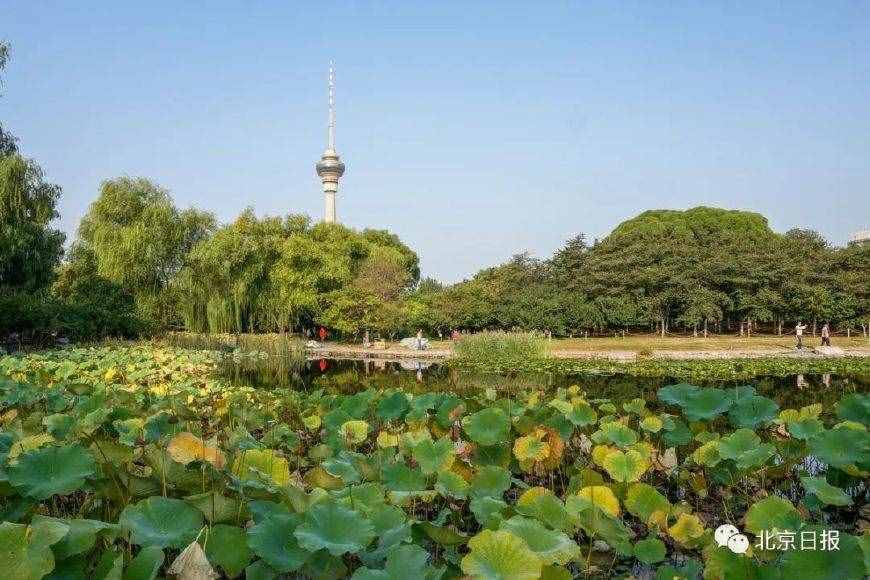 國慶節(jié)朋友圈攝影大賽落幕，這69張照片帶您飽覽祖國美景