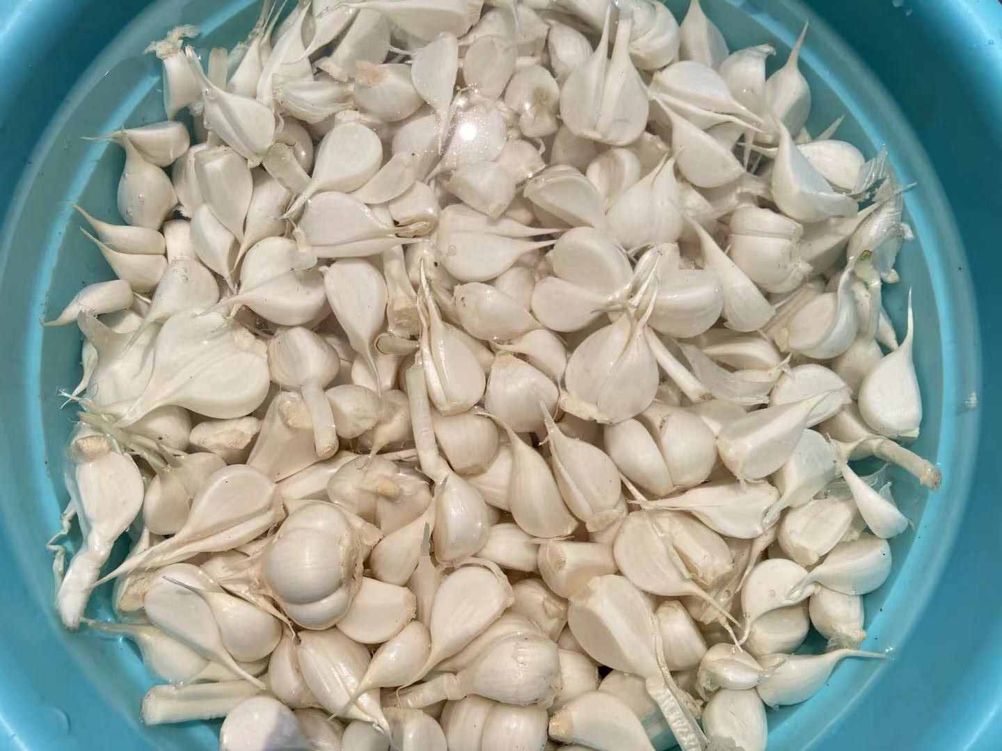 正宗糖醋蒜的做法，配方比例全教給你，脆爽開胃，放一年也不壞