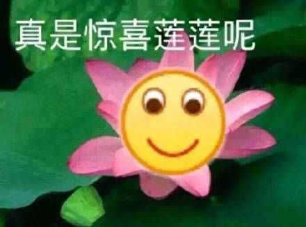 綠茶or白蓮花！你更討厭哪一種？