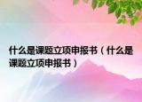 什么是課題立項申報書（什么是課題立項申報書）