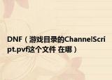 DNF（游戲目錄的ChannelScript.pvf這個文件 在哪）