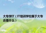 大專學(xué)IT（IT培訓(xùn)學(xué)校屬于大專還是什么）