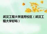 武漢工程大學(xué)流芳校區(qū)（武漢工程大學(xué)好嗎）