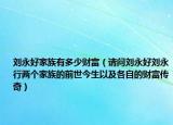 劉永好家族有多少財富（請問劉永好劉永行兩個家族的前世今生以及各自的財富傳奇）