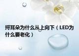 捋耳朵為什么從上向下（LED為什么要老化）