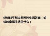 螞蟻似乎都過著兩種生活答案（螞蟻的幸福生活是什么）