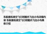 東航客機(jī)高空飛行時艙內(nèi)飛出小鳥詳細(xì)內(nèi)容 東航客機(jī)高空飛行時艙內(nèi)飛出小鳥具體介紹