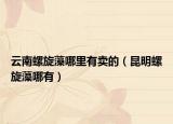 云南螺旋藻哪里有賣的（昆明螺旋藻哪有）