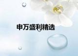申萬(wàn)盛利精選