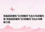 東航回應(yīng)客機(jī)飛行時艙內(nèi)飛出小鳥詳細(xì)內(nèi)容 東航回應(yīng)客機(jī)飛行時艙內(nèi)飛出小鳥具體介紹