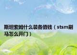 斯坦索姆什么裝備值錢（stsm刷馬怎么開門）