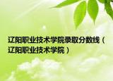 遼陽職業(yè)技術(shù)學(xué)院錄取分?jǐn)?shù)線（遼陽職業(yè)技術(shù)學(xué)院）