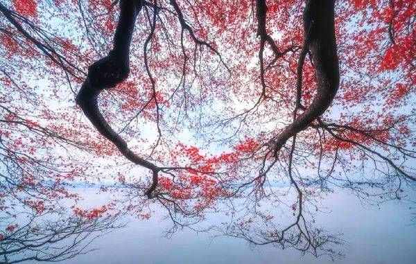 十首清代詩(shī)歌佳作，風(fēng)騷不輸唐詩(shī)宋詞