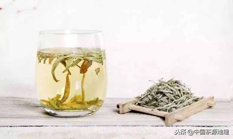 學(xué)會這五招，馬上讓你成為品茶高手