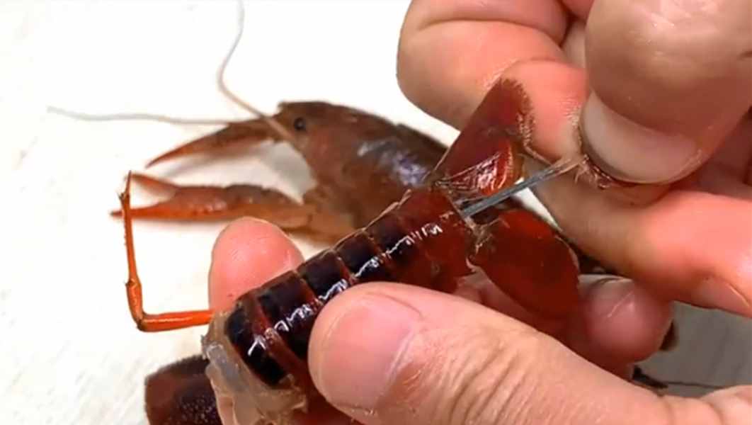 清水洗小龍蝦和沒洗一樣臟，教你簡單一招，臟東西自動跑光光