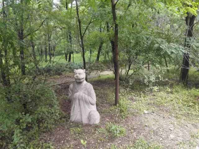 自駕大興，這個(gè)森林公園竟如此特殊，附近吃住玩更是絕了！