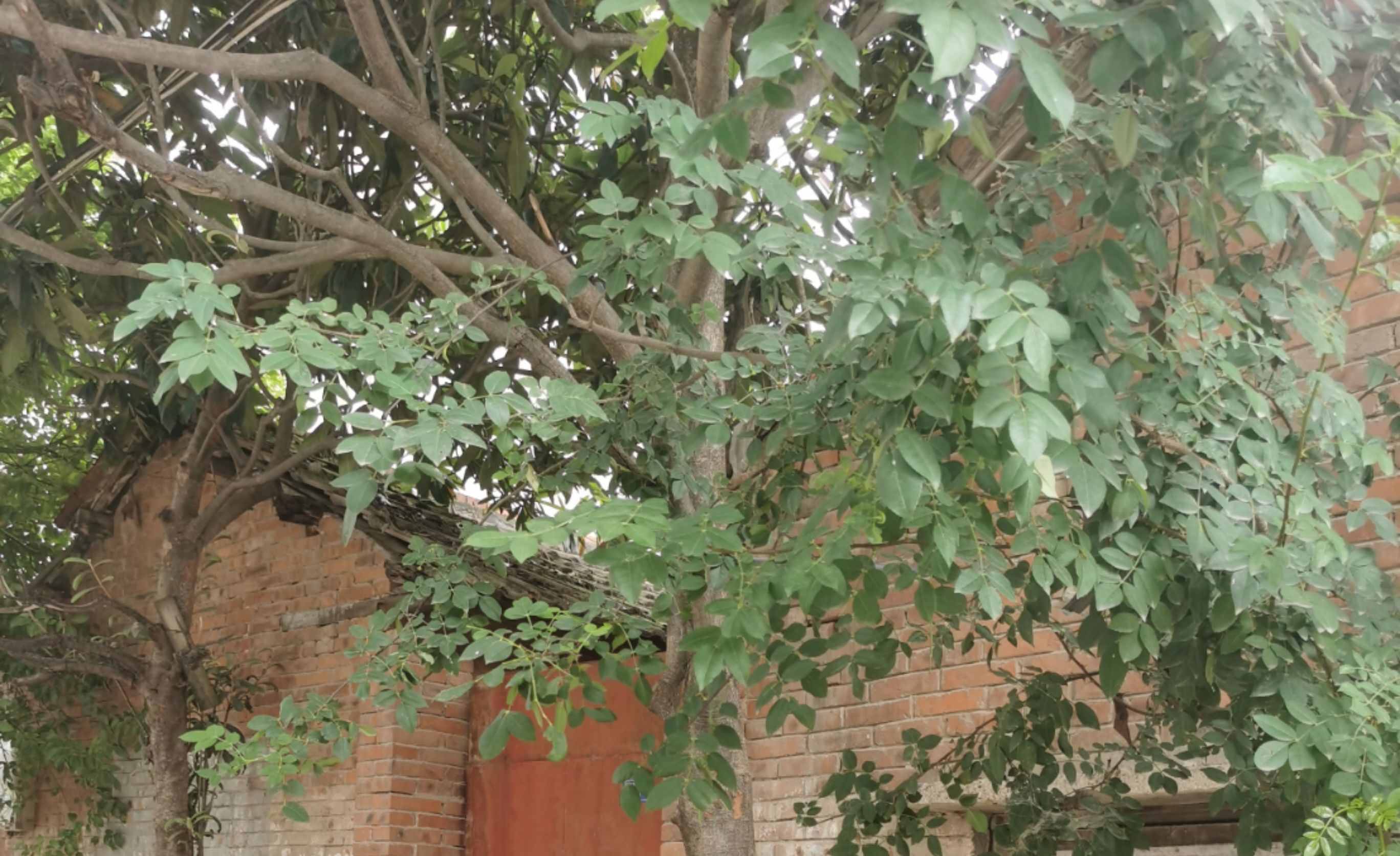 如何從細(xì)微處看人與人之間的關(guān)系