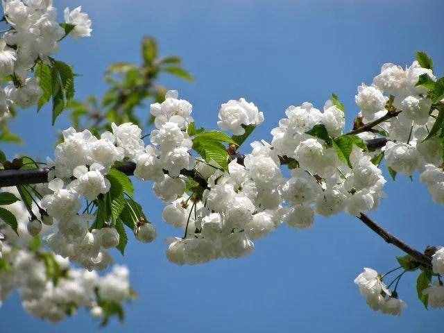 情侶朋友圈秀恩愛的甜蜜短句子