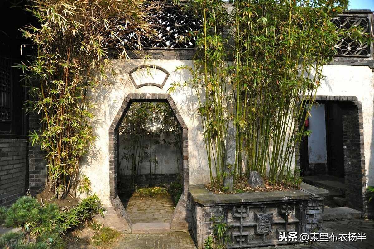 鄭板橋的竹詩(shī)太迷人，來(lái)一起欣賞吧