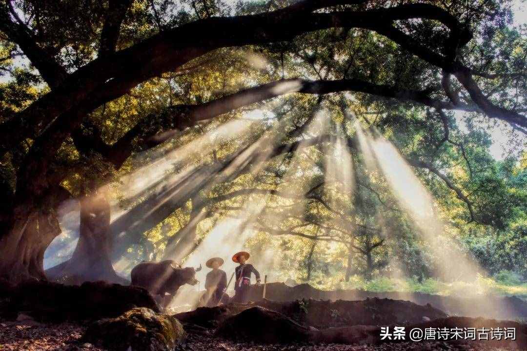俯首甘為孺子牛，不待揚(yáng)鞭自奮蹄
