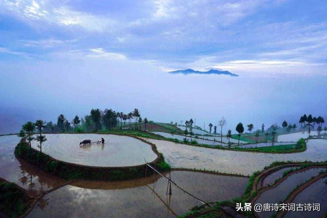 俯首甘為孺子牛，不待揚(yáng)鞭自奮蹄