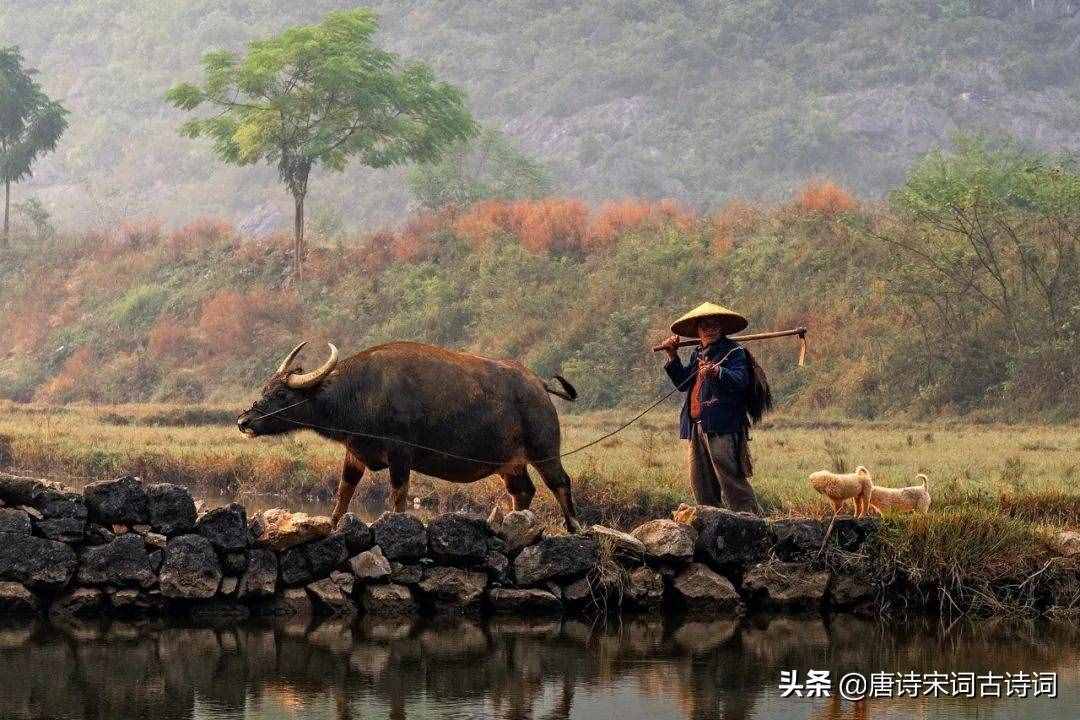 俯首甘為孺子牛，不待揚(yáng)鞭自奮蹄