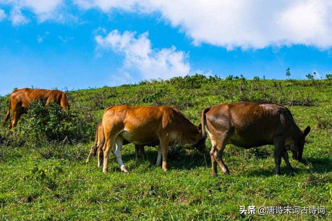 俯首甘為孺子牛，不待揚(yáng)鞭自奮蹄