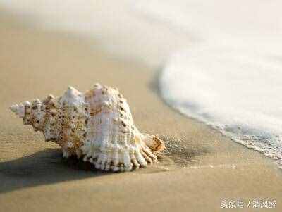 QQ空間動(dòng)態(tài)個(gè)性說(shuō)說(shuō)！