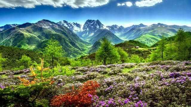 探索蜜月旅行地｜和愛的人一起旅行，新婚去哪里度蜜月好？
