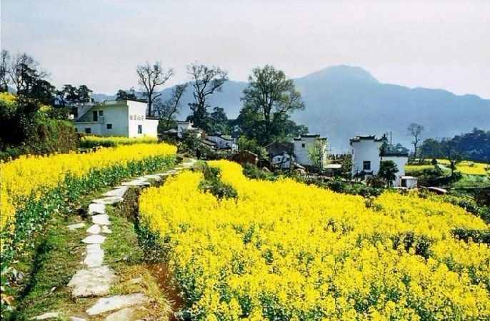中國各地傳統(tǒng)民居的特色，從四合院窯洞到土樓圍屋