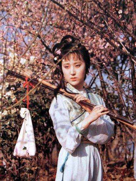 林黛玉《葬花辭》全文，空前絕后之作，當(dāng)下網(wǎng)紅夠不著一根毫毛