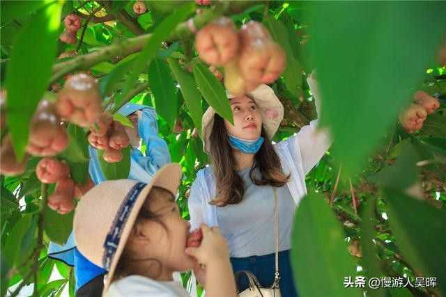 親測(cè)6條海南自駕路線，不用燒腦，不虛此行美到爆