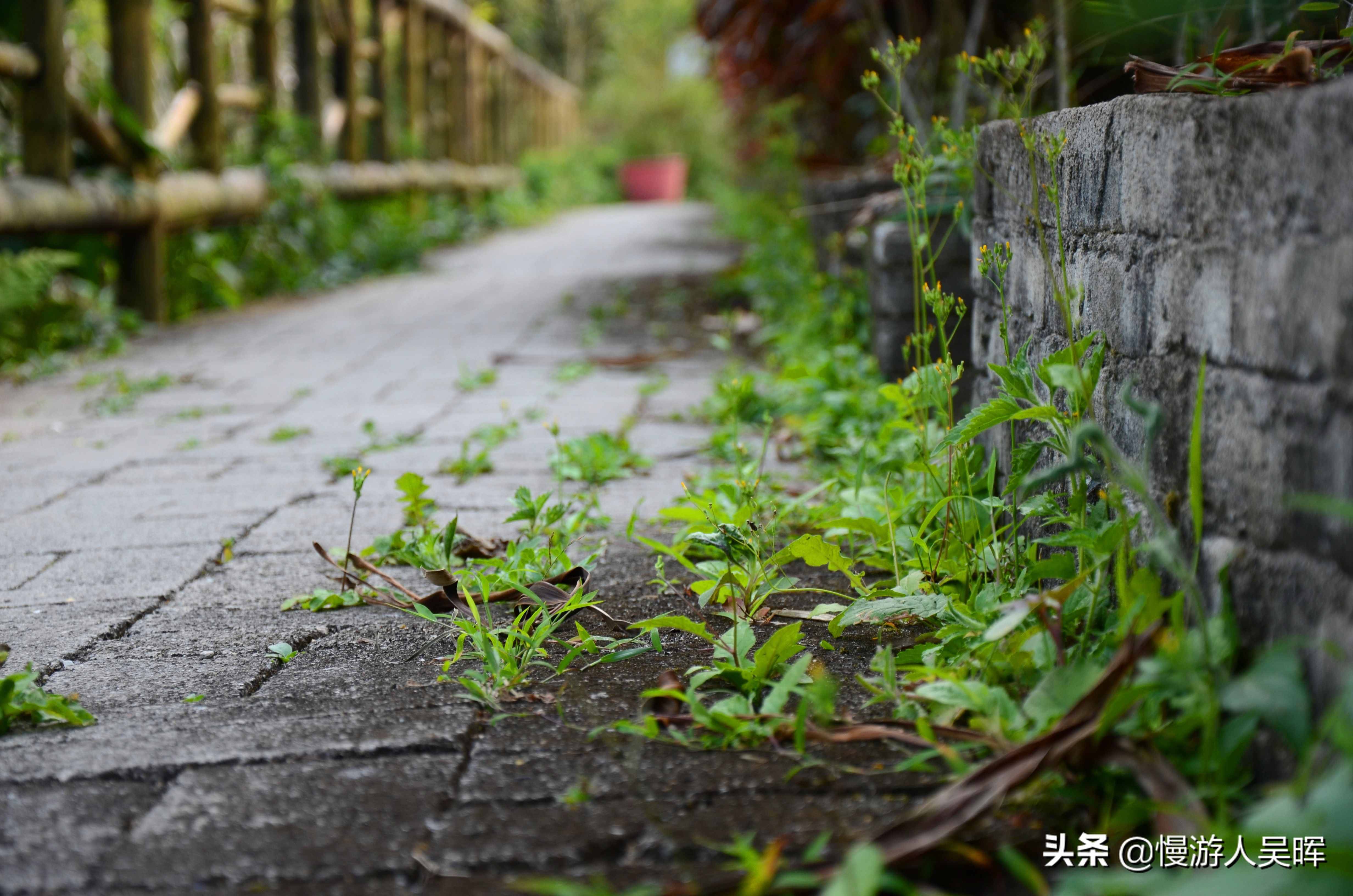 親測(cè)6條海南自駕路線，不用燒腦，不虛此行美到爆