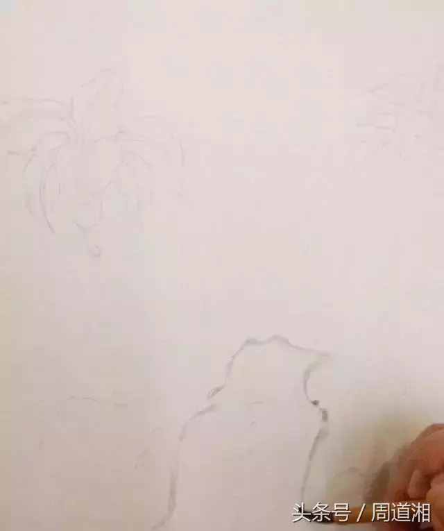 一步步教你畫工筆畫，超級詳細！