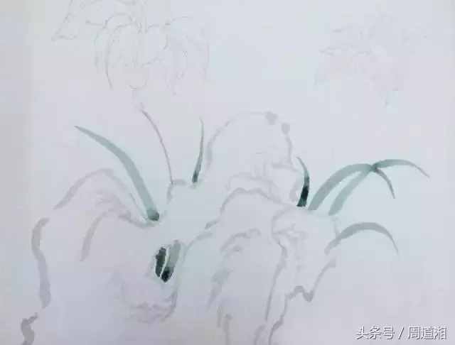 一步步教你畫工筆畫，超級詳細！