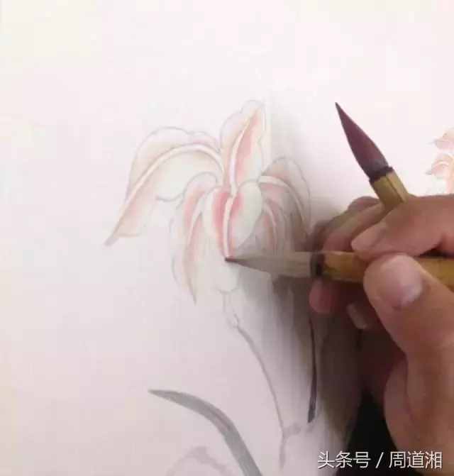 一步步教你畫工筆畫，超級詳細！